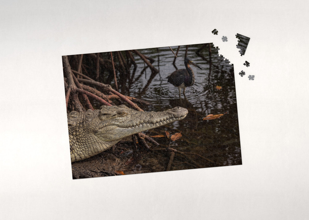 Crocodile Portrait Close Up jigsaw puzzle - puzzle with loose pieces