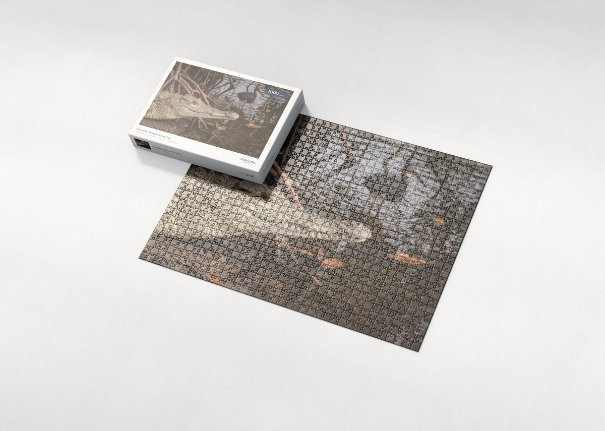 Crocodile Portrait Close Up jigsaw puzzle - box and puzzle