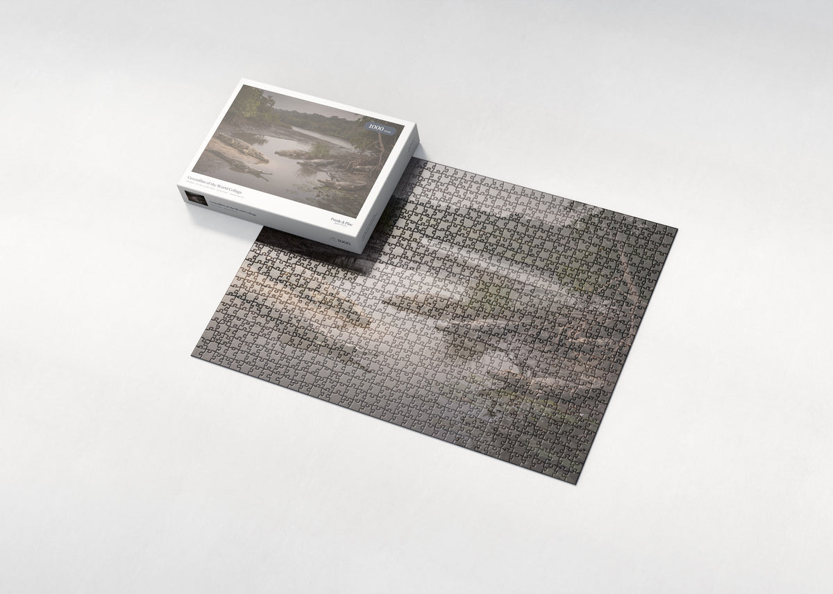 Crocodiles of the World Collage jigsaw puzzle - box and puzzle