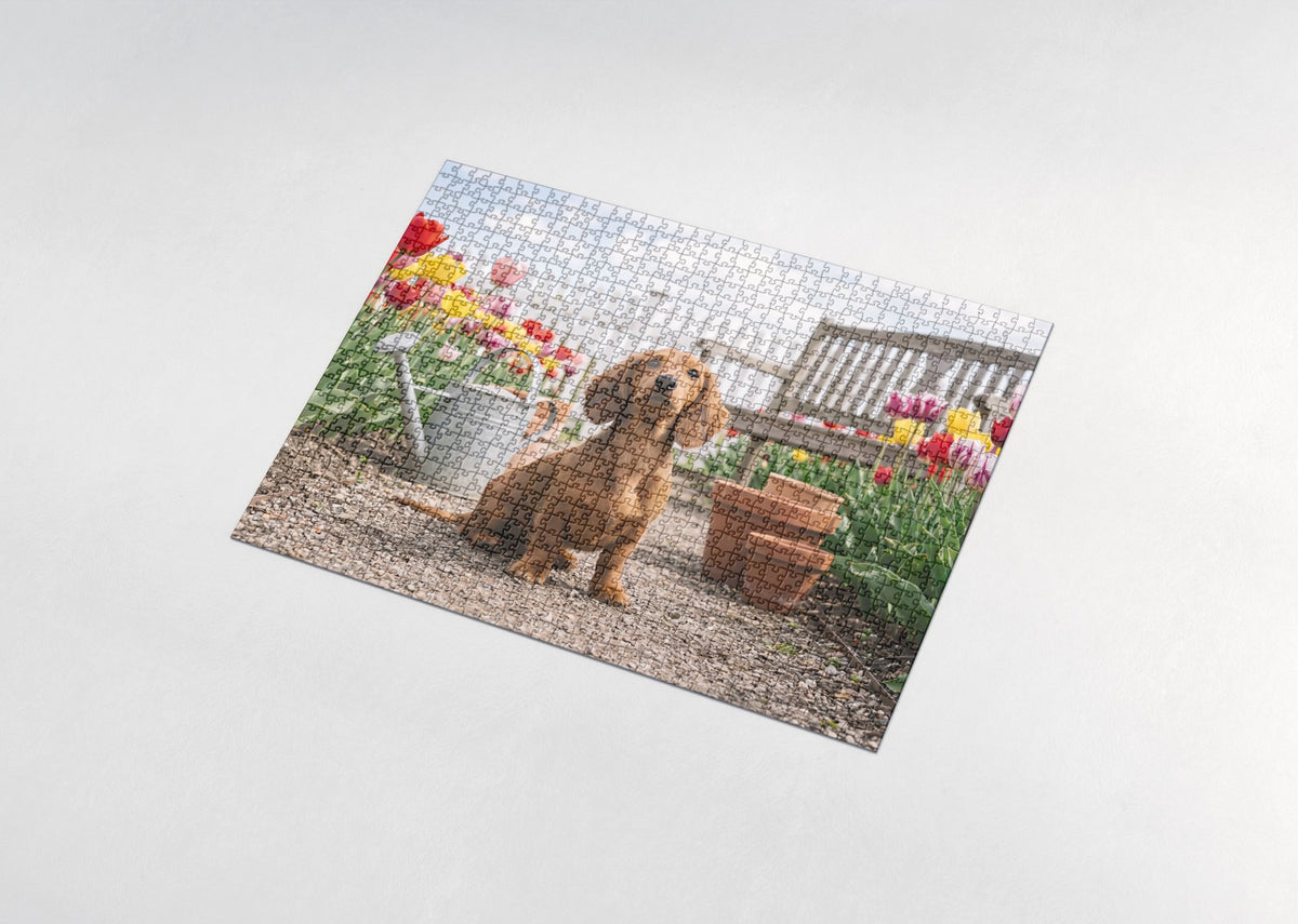 Dachshund Puppy in the Tulip Garden jigsaw puzzle - assembled puzzle