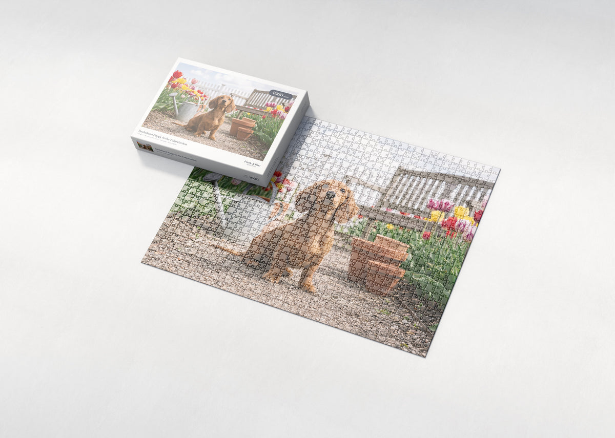Dachshund Puppy in the Tulip Garden jigsaw puzzle - box and puzzle