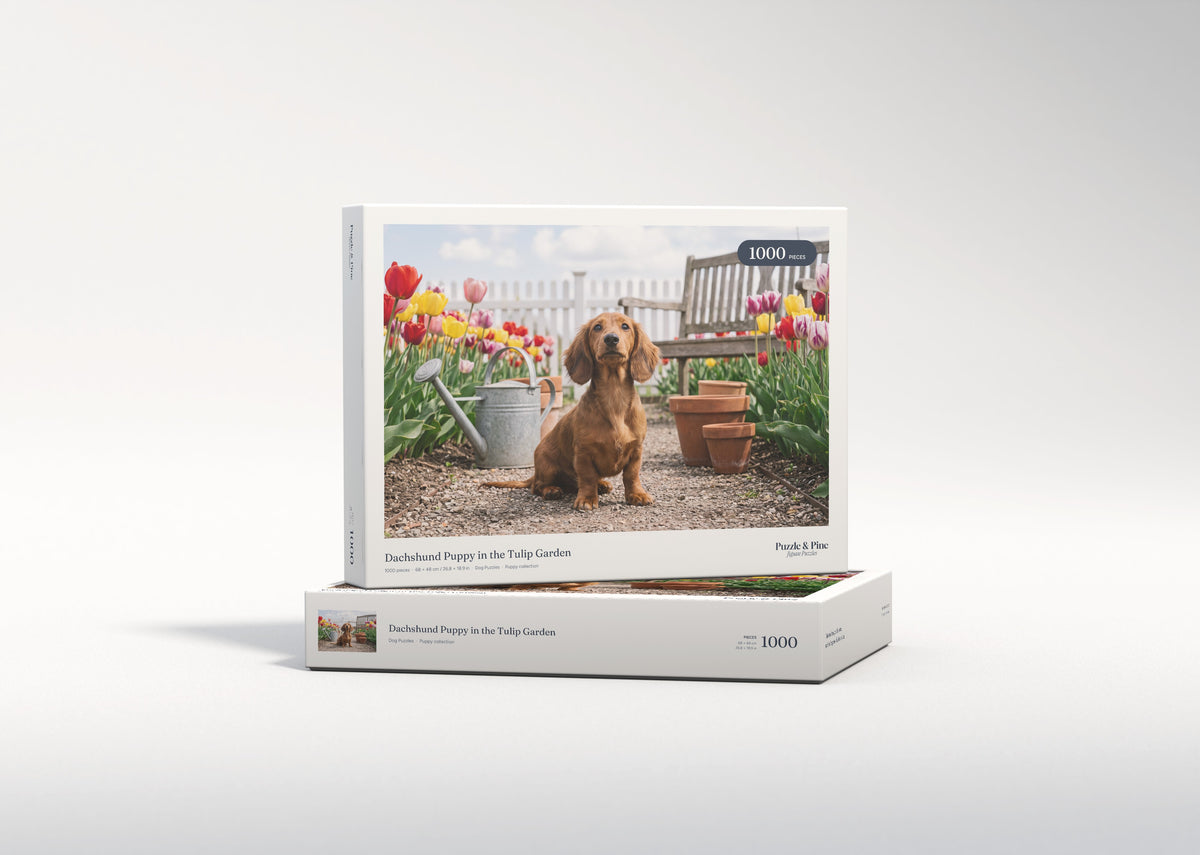 Dachshund Puppy in the Tulip Garden jigsaw puzzle - gift box