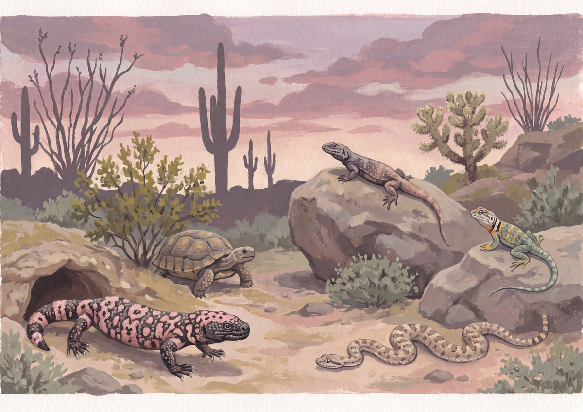 Desert Reptiles at Dusk jigsaw puzzle