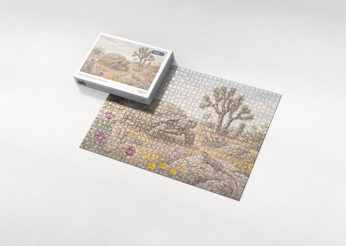 Desert Tortoise Among the Cactus Flowers jigsaw puzzle - box and puzzle