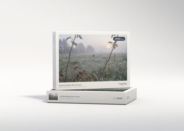 Dewdrop Spider Web at Dawn jigsaw puzzle - gift box