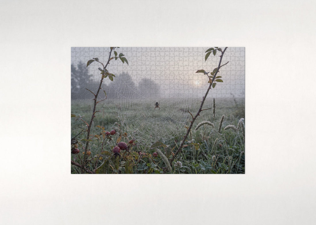 Dewdrop Spider Web at Dawn jigsaw puzzle - gift box