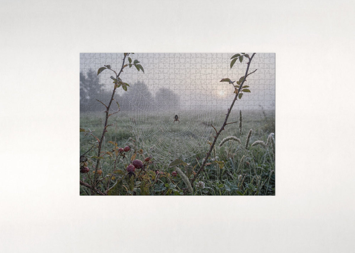 Dewdrop Spider Web at Dawn jigsaw puzzle - flat puzzle