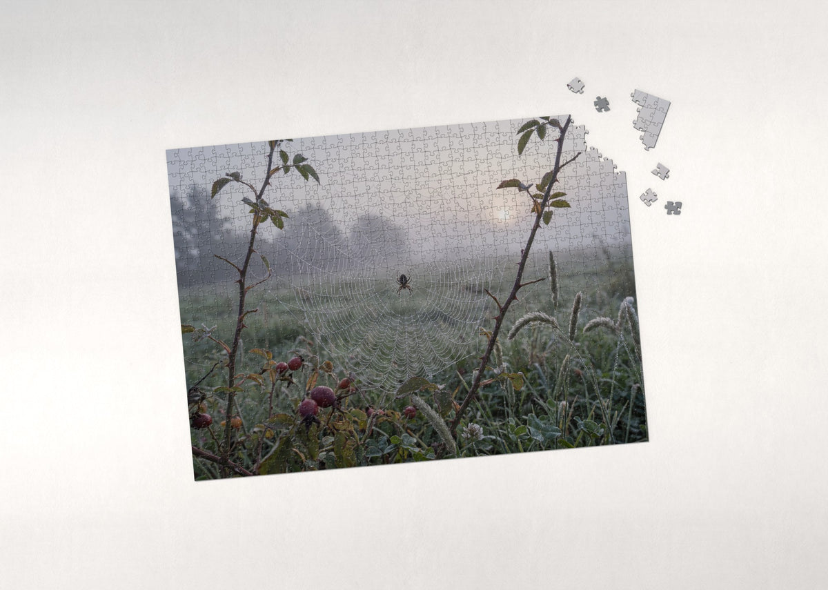 Dewdrop Spider Web at Dawn jigsaw puzzle - puzzle with loose pieces