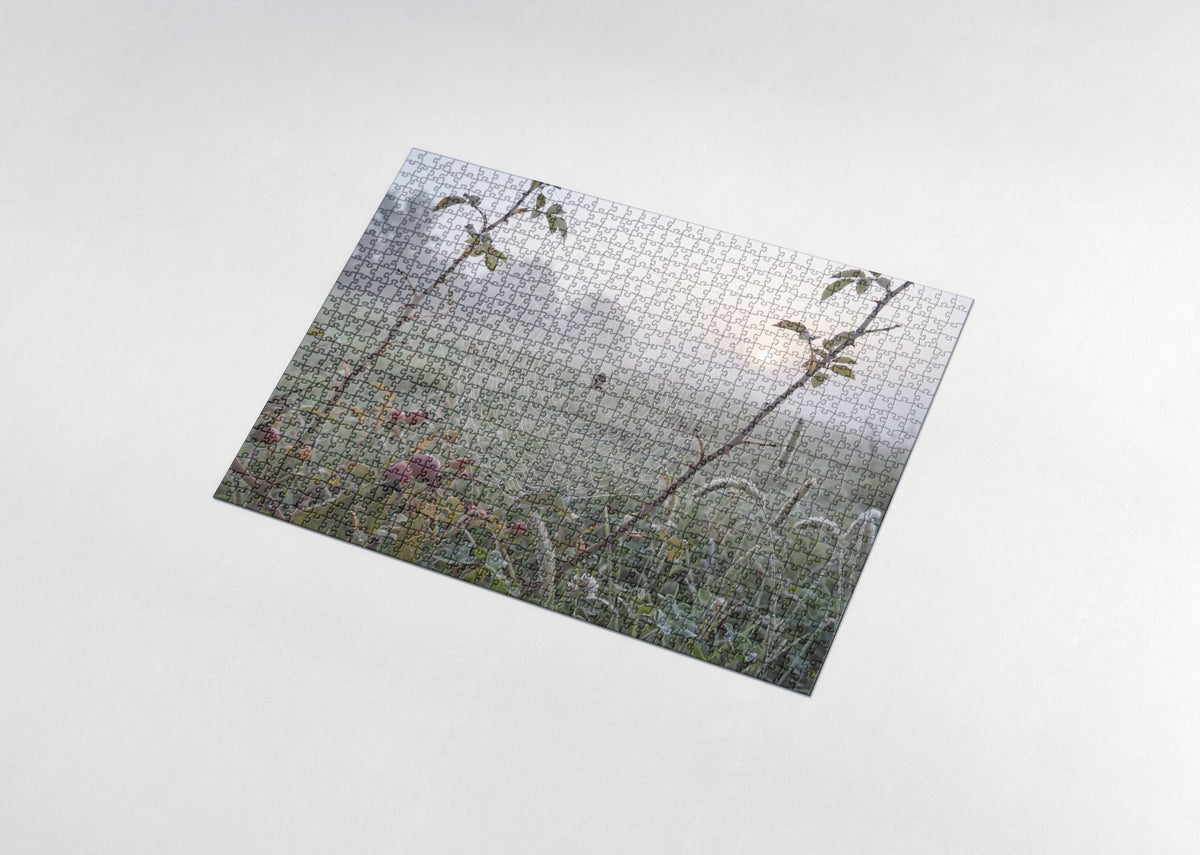 Dewdrop Spider Web at Dawn jigsaw puzzle - assembled puzzle
