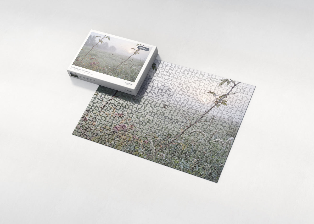 Dewdrop Spider Web at Dawn jigsaw puzzle - box and puzzle
