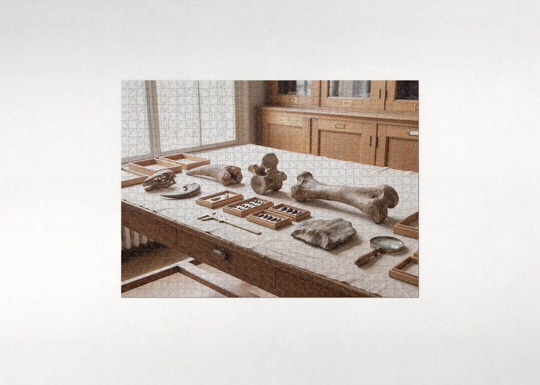 Dinosaur Bones Field Guide Plate jigsaw puzzle - gift box
