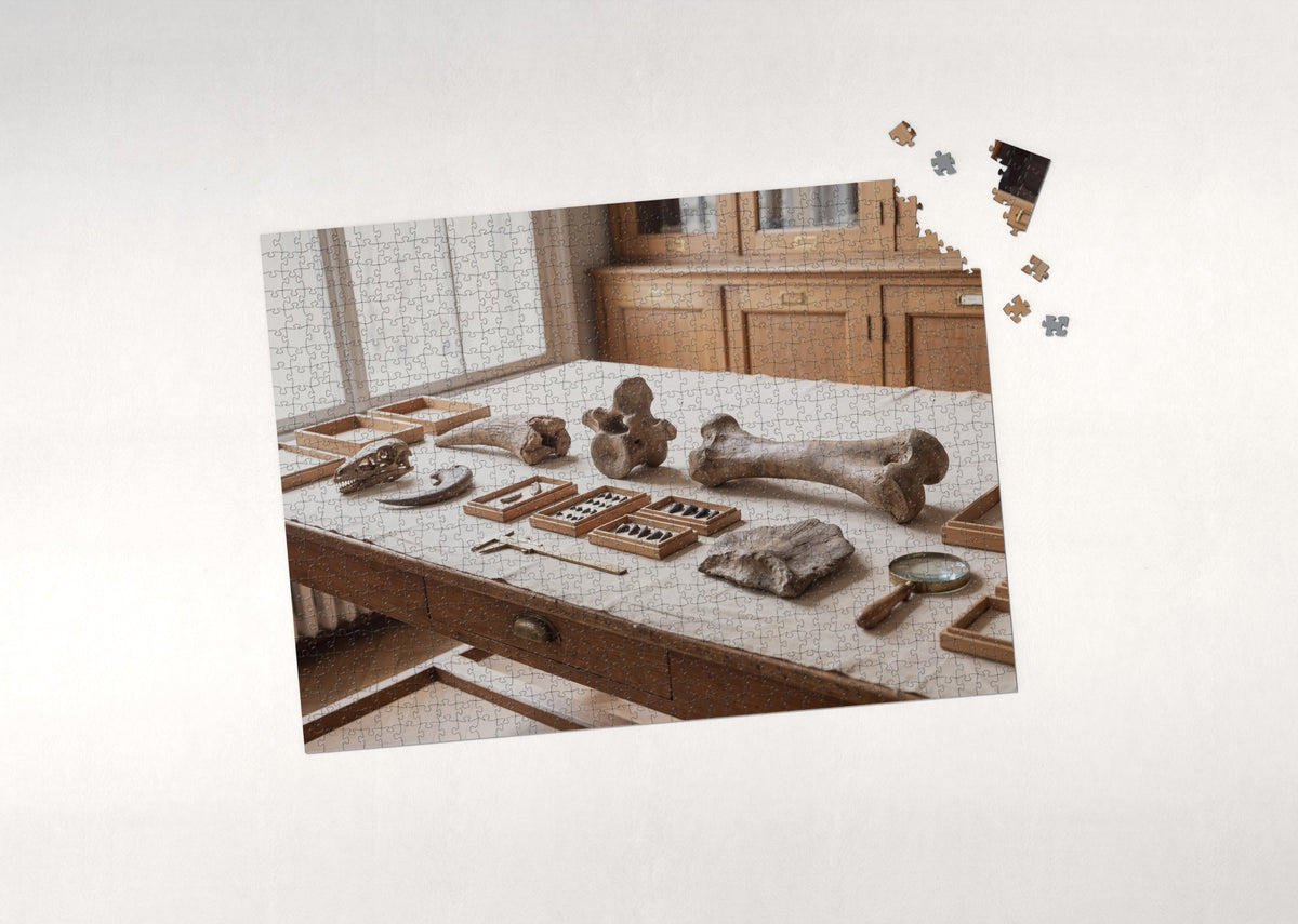 Dinosaur Bones Field Guide Plate jigsaw puzzle - puzzle with loose pieces