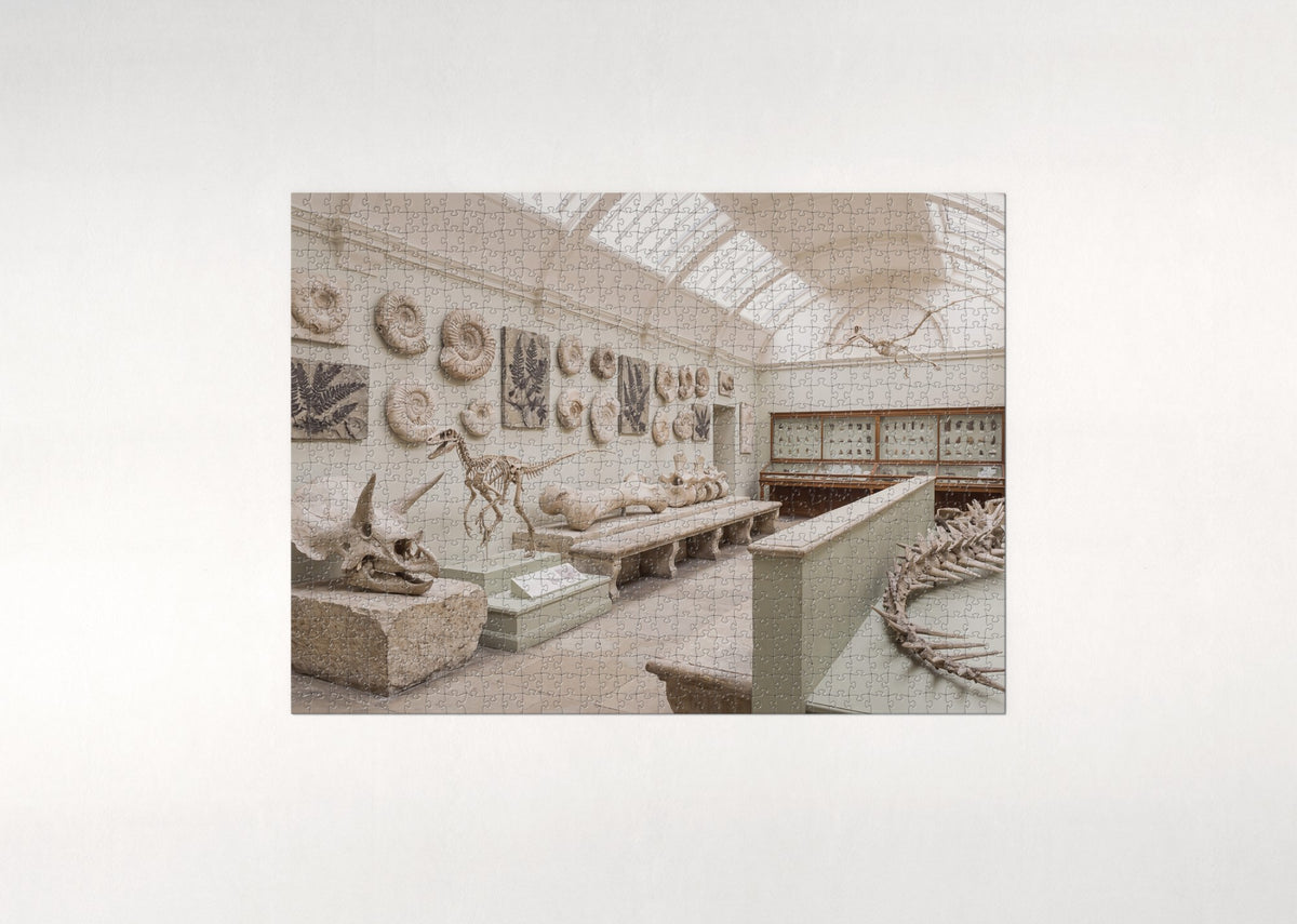Dinosaur Fossils Collage jigsaw puzzle - flat puzzle