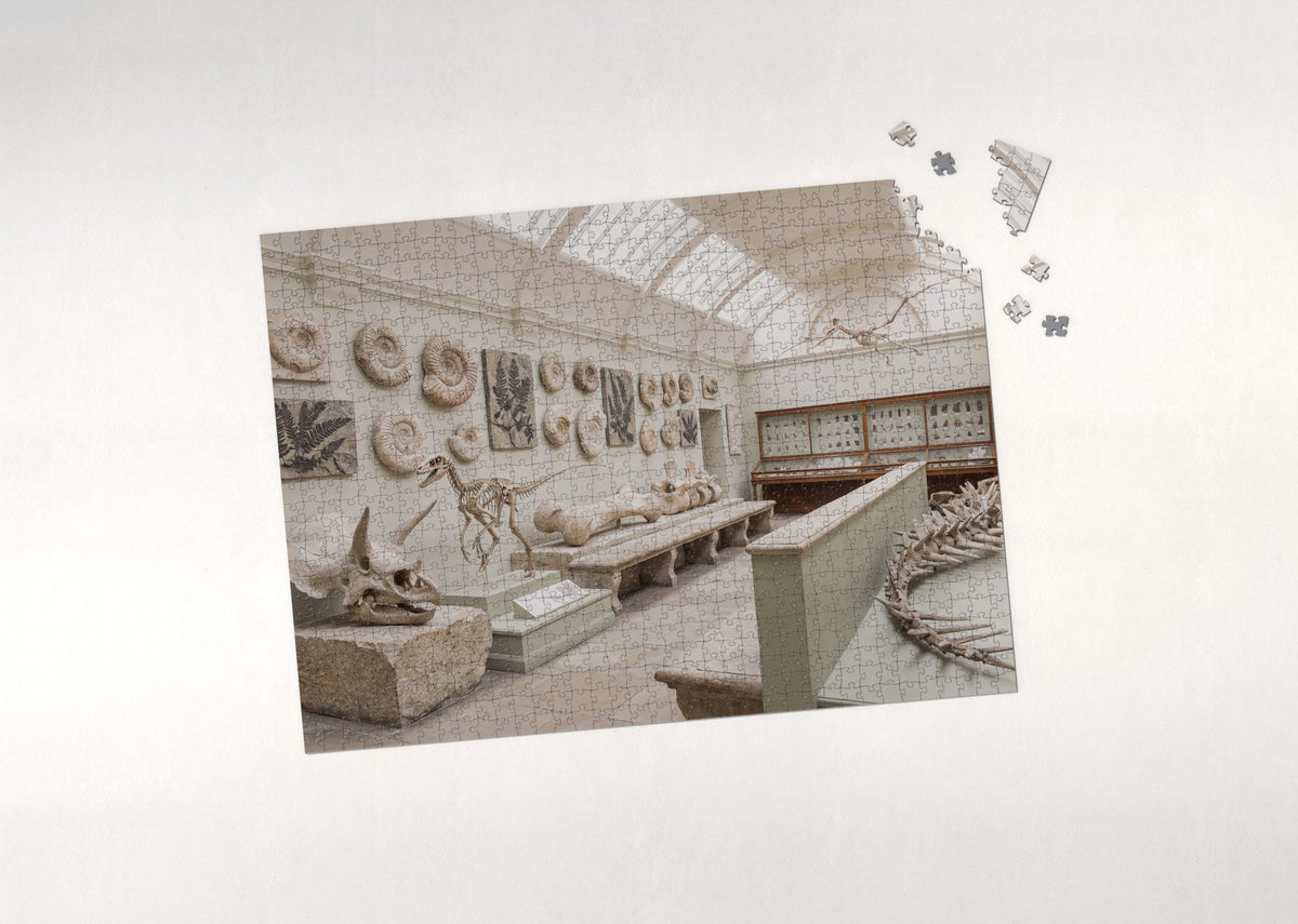 Dinosaur Fossils Collage jigsaw puzzle - puzzle with loose pieces