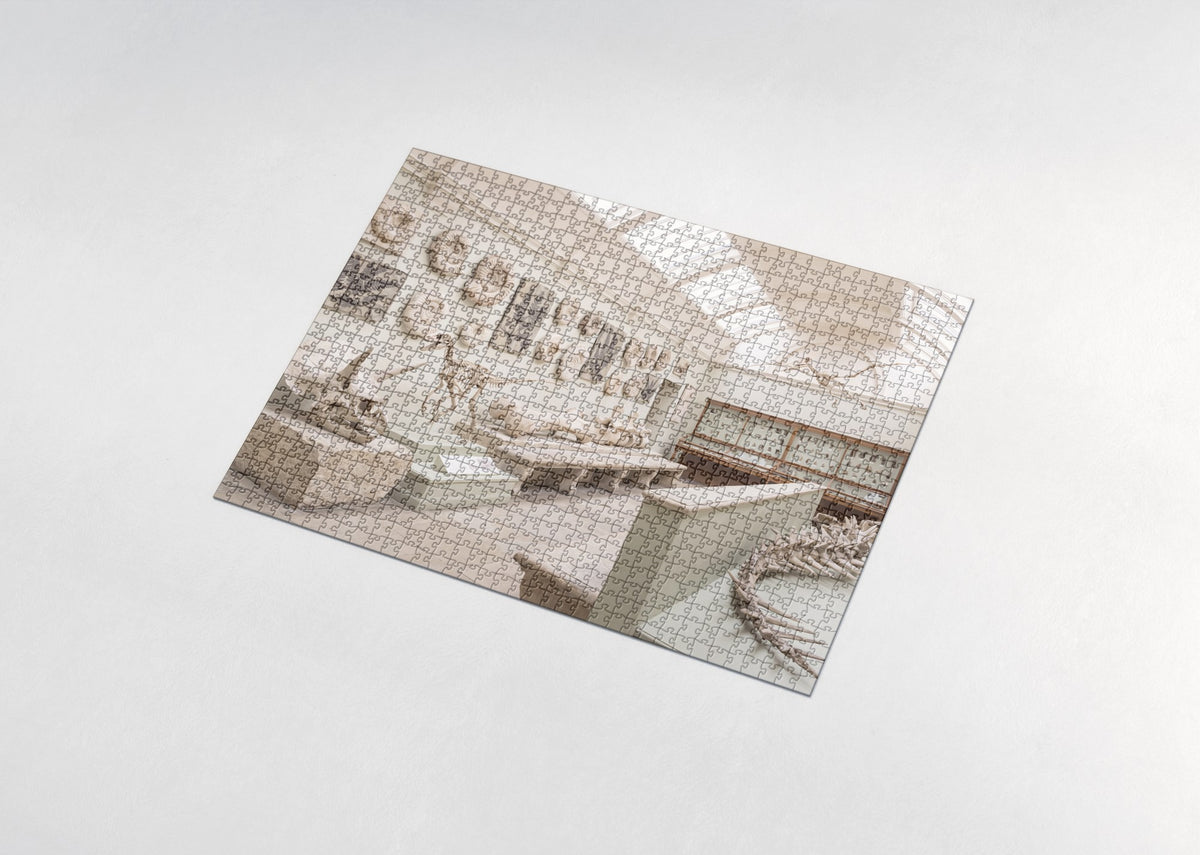Dinosaur Fossils Collage jigsaw puzzle - assembled puzzle