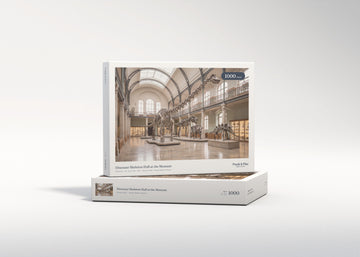 Dinosaur Skeleton Hall at the Museum jigsaw puzzle - gift box