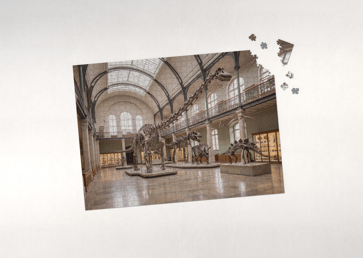 Dinosaur Skeleton Hall at the Museum jigsaw puzzle - puzzle with loose pieces