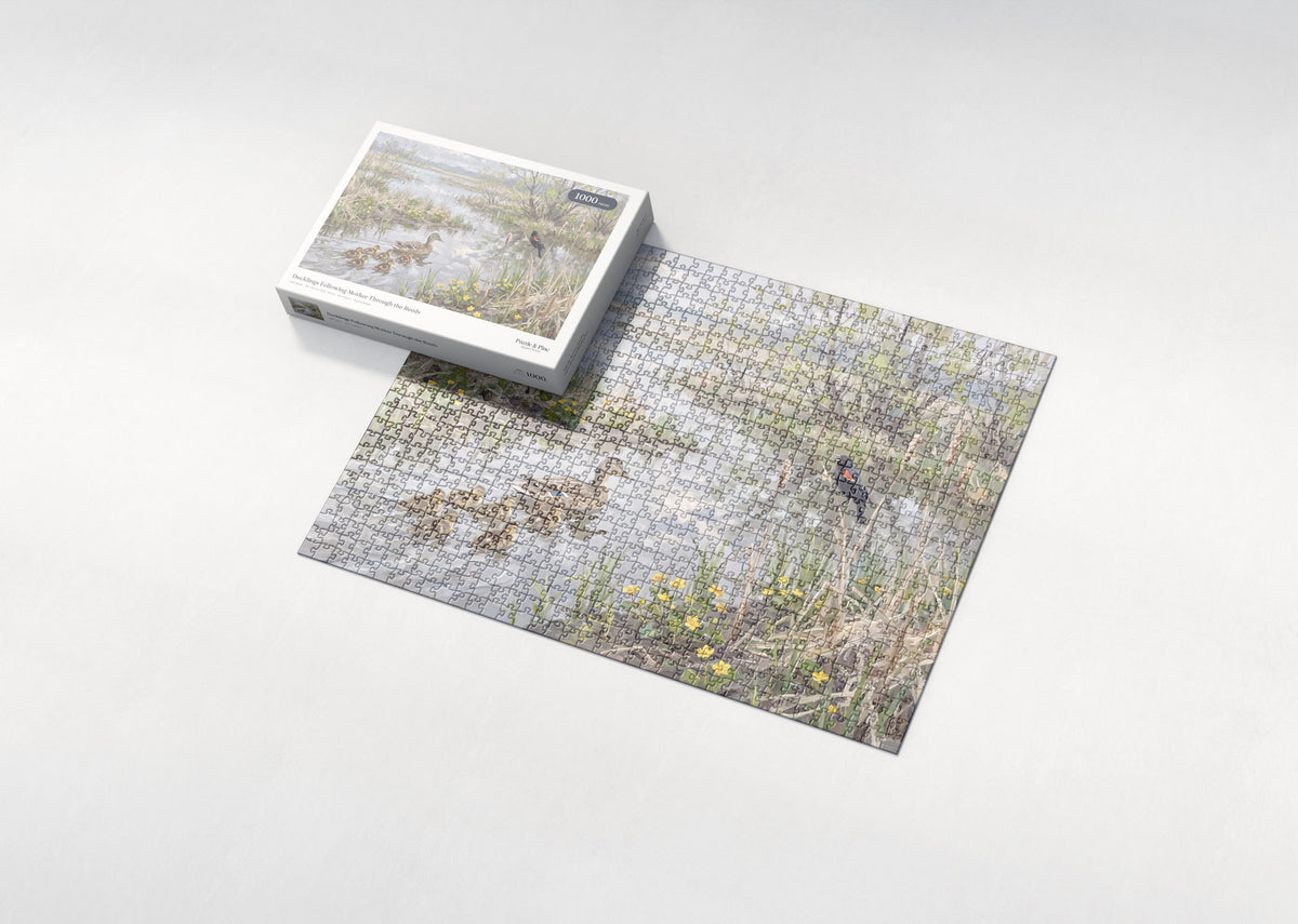 Ducklings Following Mother Through the Reeds jigsaw puzzle - box and puzzle