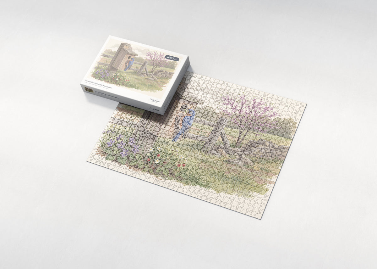 Eastern Bluebird at the Nesting Box jigsaw puzzle - box and puzzle