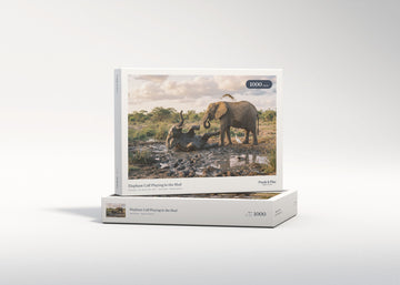 Elephant Calf Playing in the Mud jigsaw puzzle - gift box