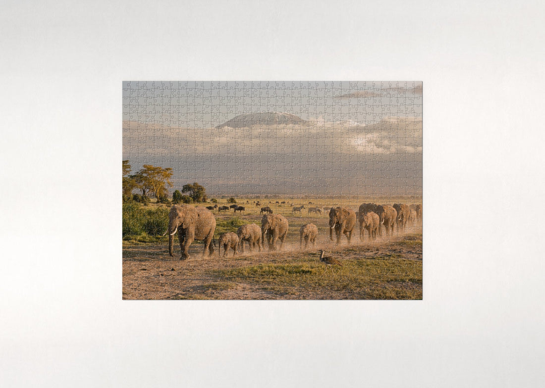 Elephant Herd on the Amboseli Plains jigsaw puzzle - gift box