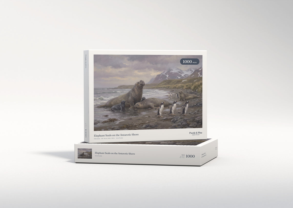 Elephant Seals on the Antarctic Shore jigsaw puzzle - gift box