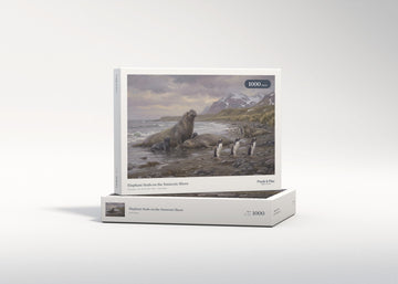 Elephant Seals on the Antarctic Shore jigsaw puzzle - gift box