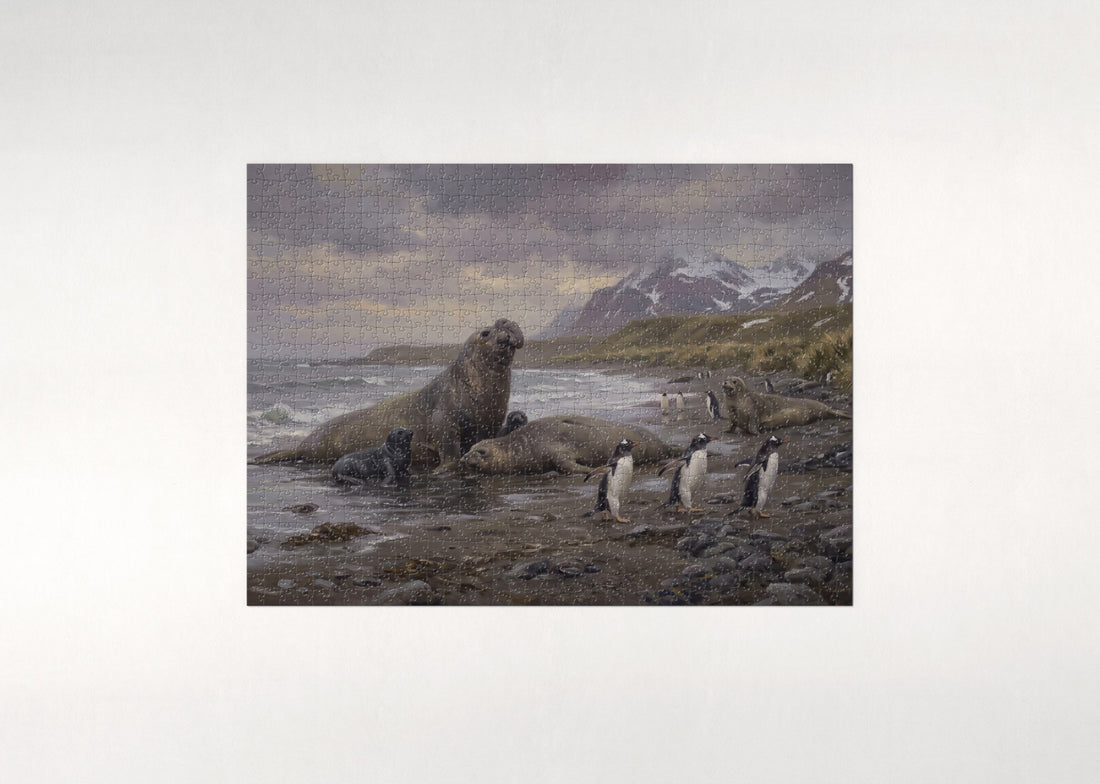 Elephant Seals on the Antarctic Shore jigsaw puzzle - gift box