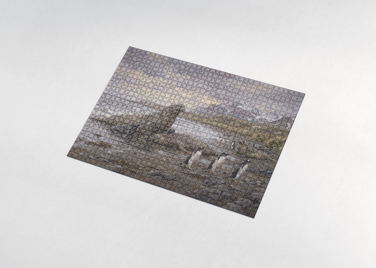 Elephant Seals on the Antarctic Shore jigsaw puzzle - assembled puzzle
