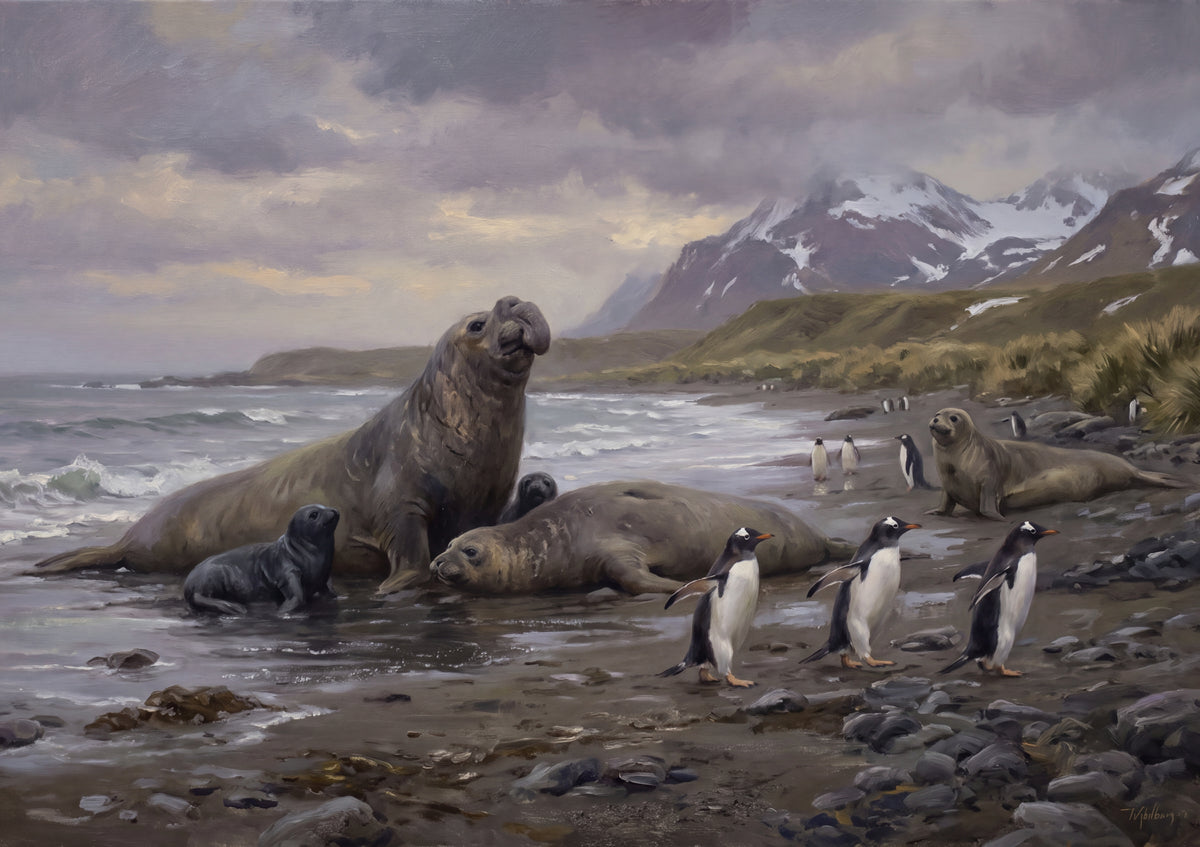 Elephant Seals on the Antarctic Shore jigsaw puzzle