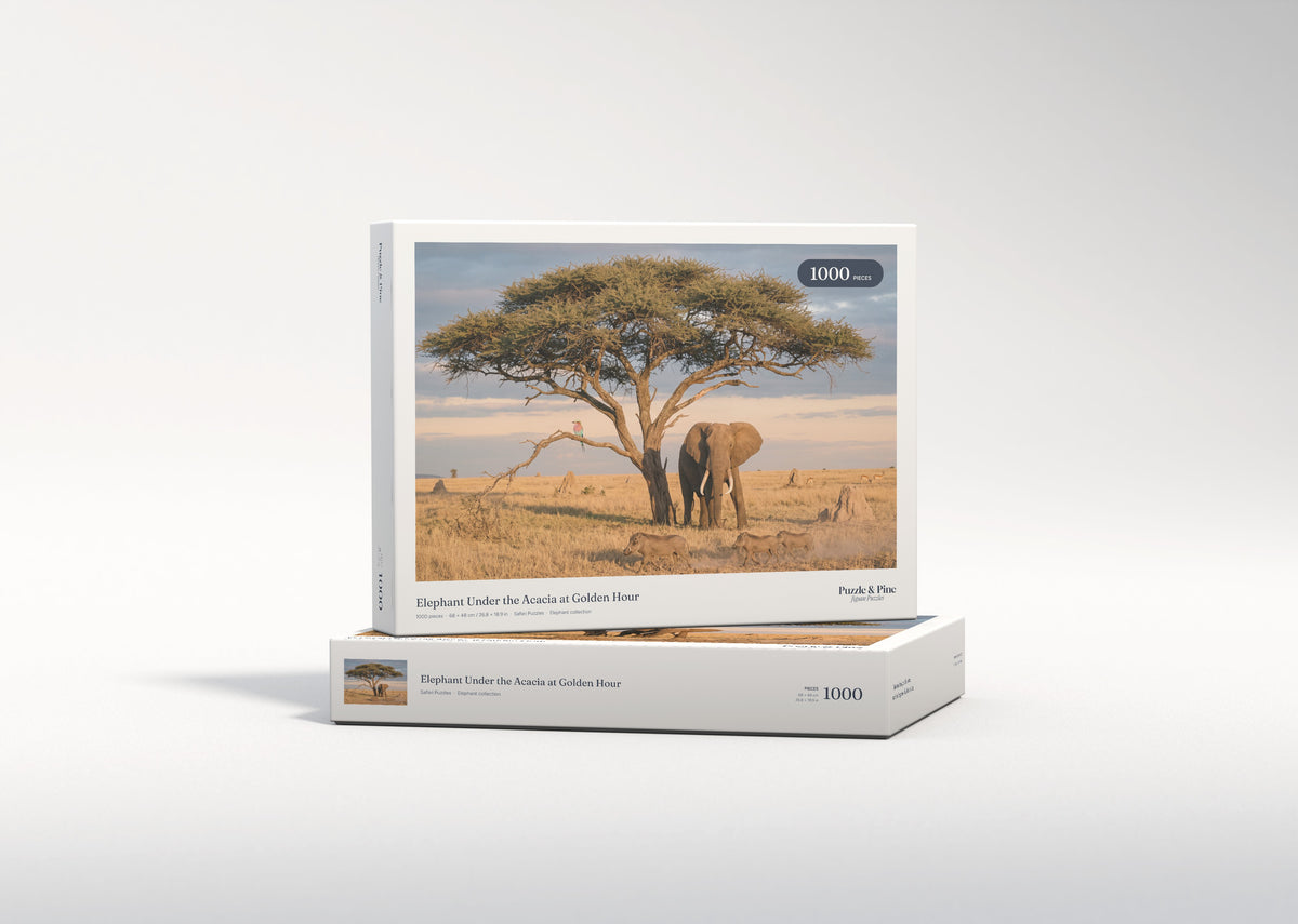 Elephant Under the Acacia at Golden Hour jigsaw puzzle - gift box