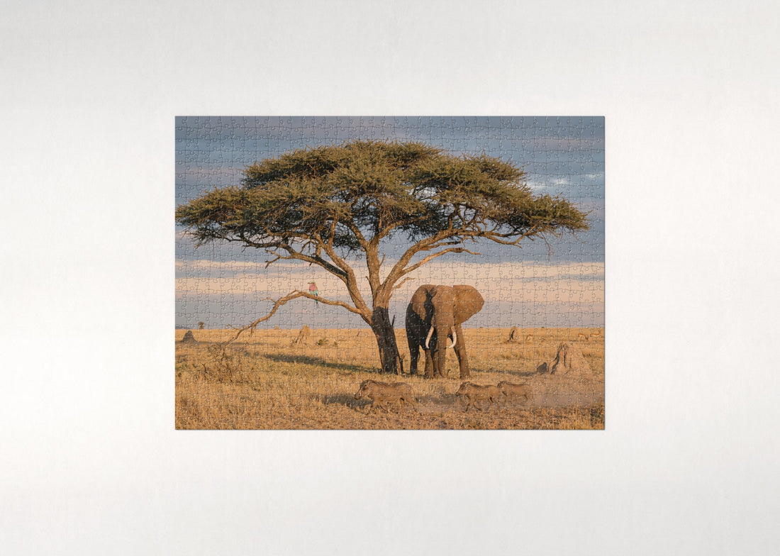 Elephant Under the Acacia at Golden Hour jigsaw puzzle - gift box