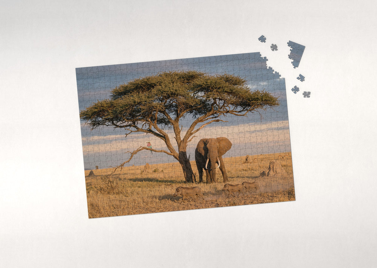 Elephant Under the Acacia at Golden Hour jigsaw puzzle - puzzle with loose pieces