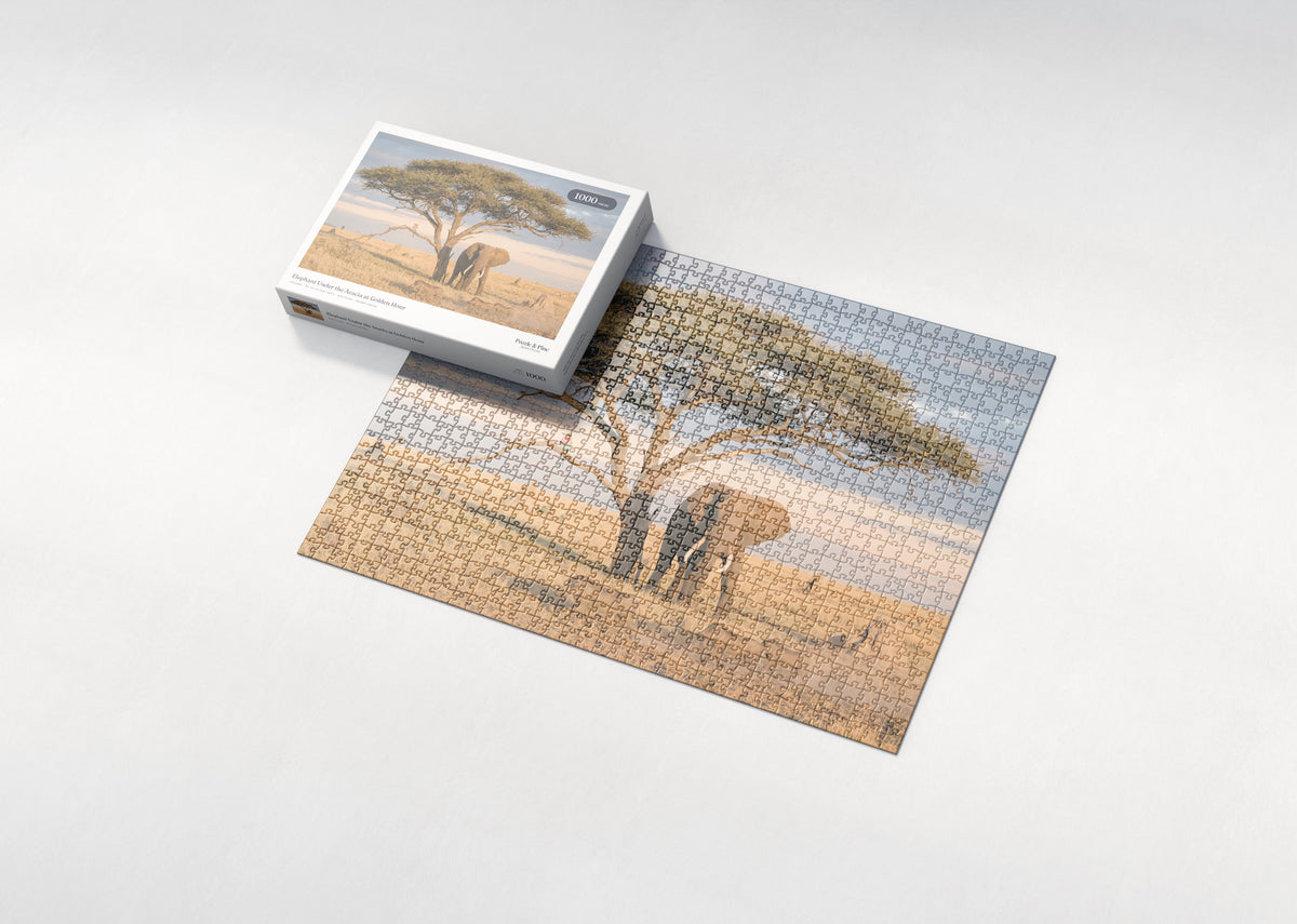 Elephant Under the Acacia at Golden Hour jigsaw puzzle - box and puzzle