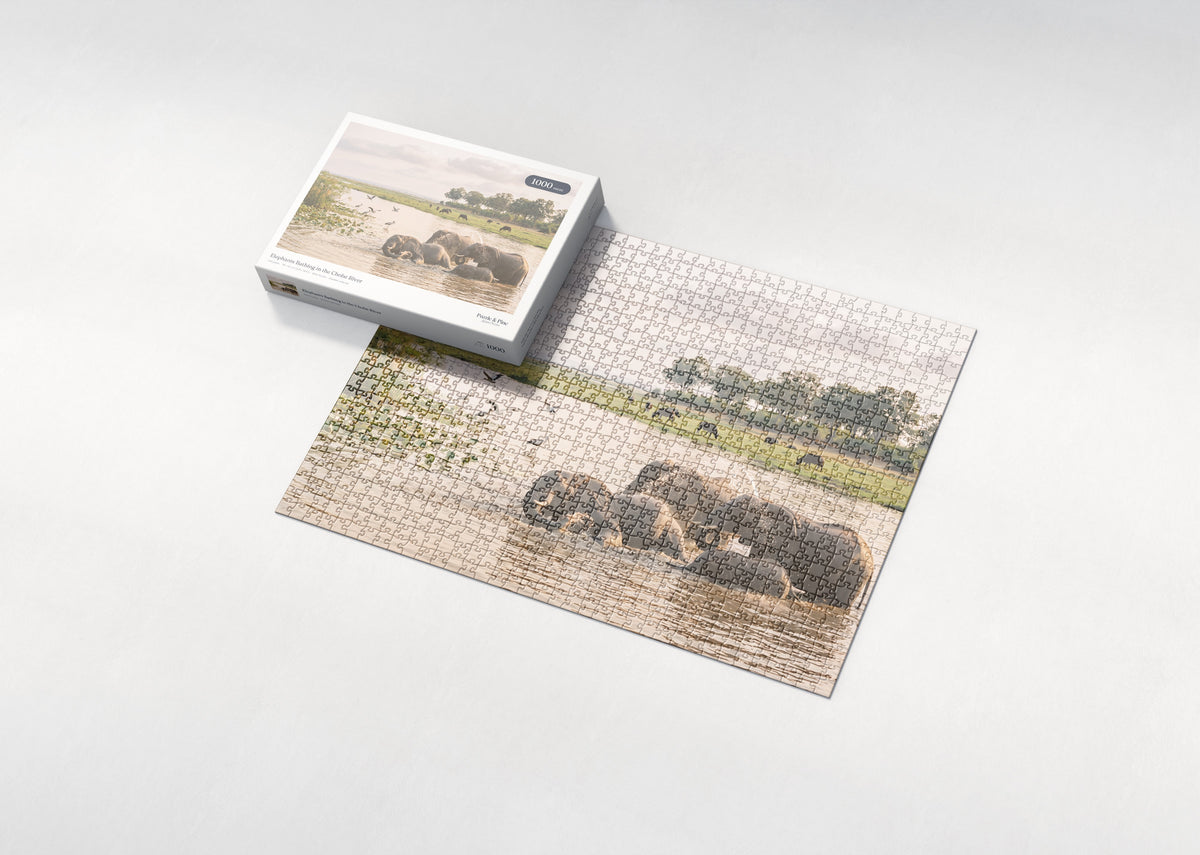 Elephants Bathing in the Chobe River jigsaw puzzle - box and puzzle