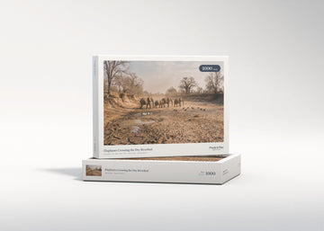 Elephants Crossing the Dry Riverbed jigsaw puzzle - gift box