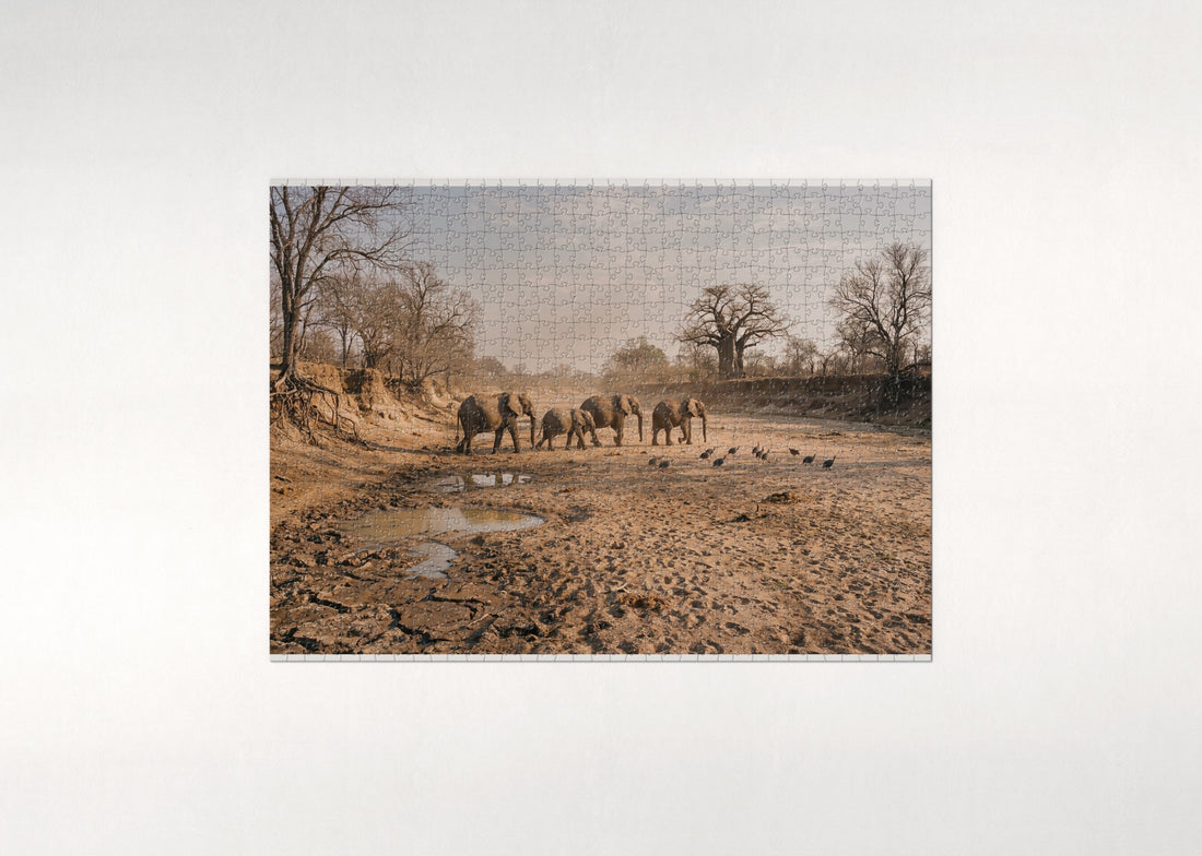 Elephants Crossing the Dry Riverbed jigsaw puzzle - gift box