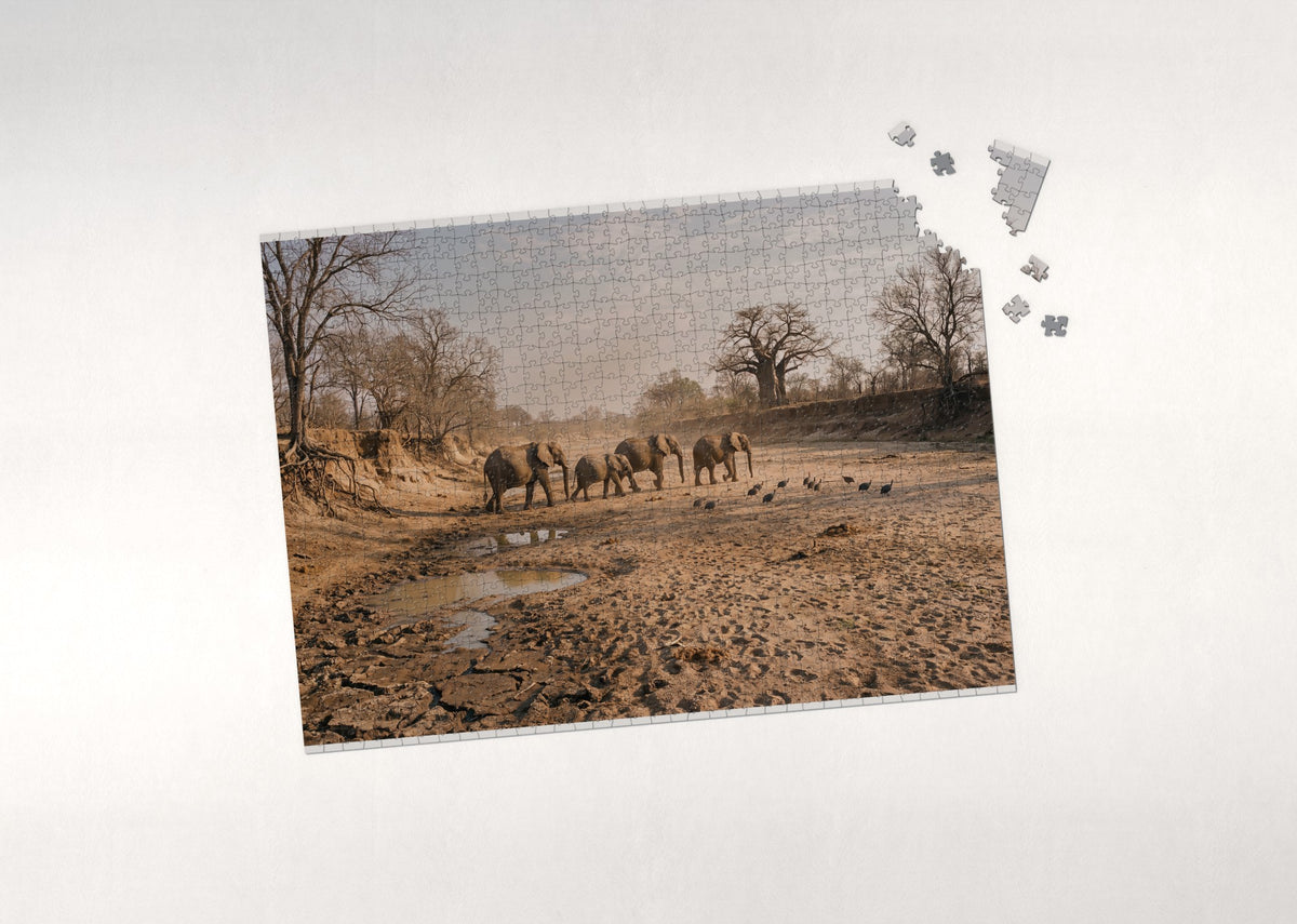 Elephants Crossing the Dry Riverbed jigsaw puzzle - puzzle with loose pieces