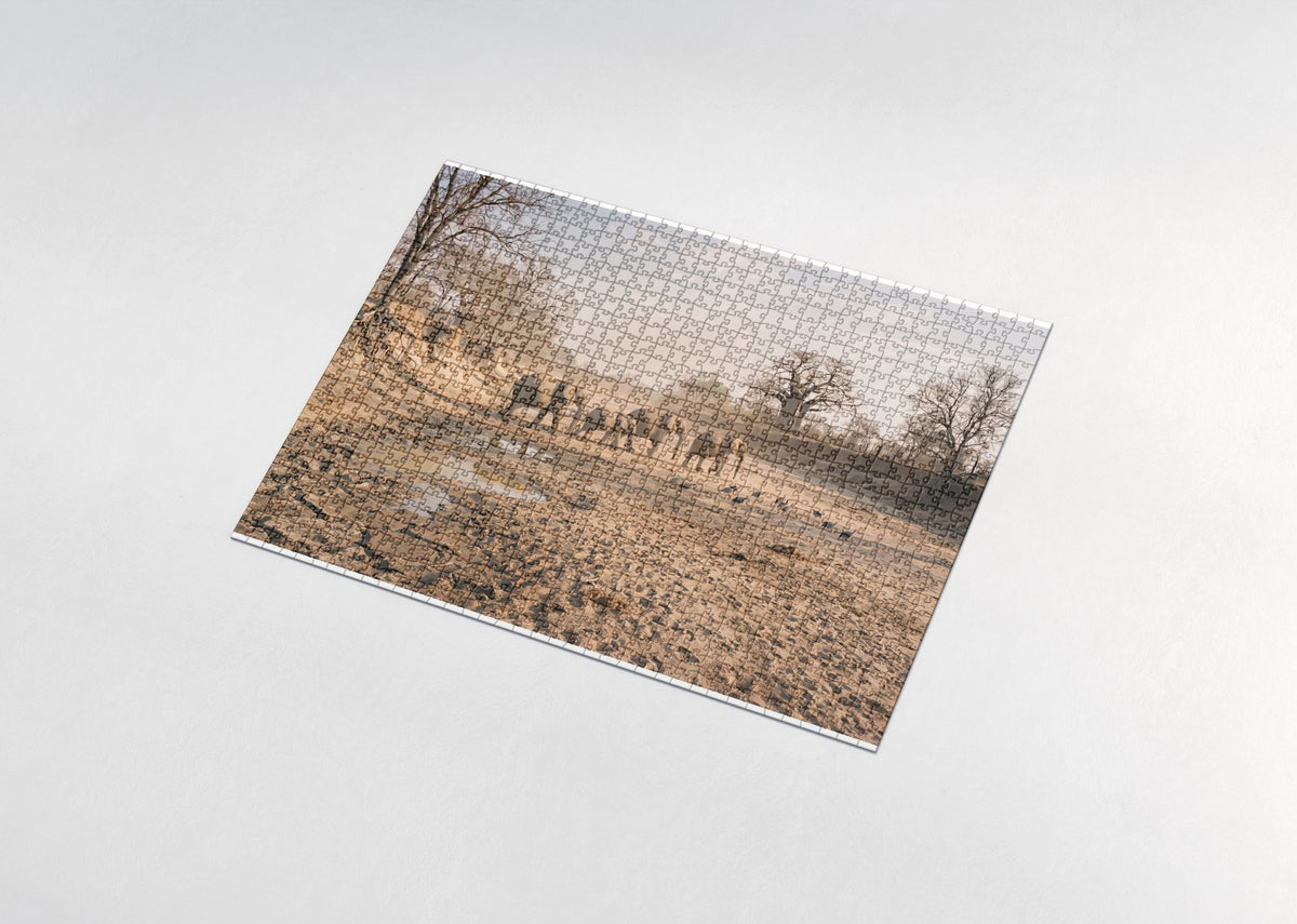 Elephants Crossing the Dry Riverbed jigsaw puzzle - assembled puzzle