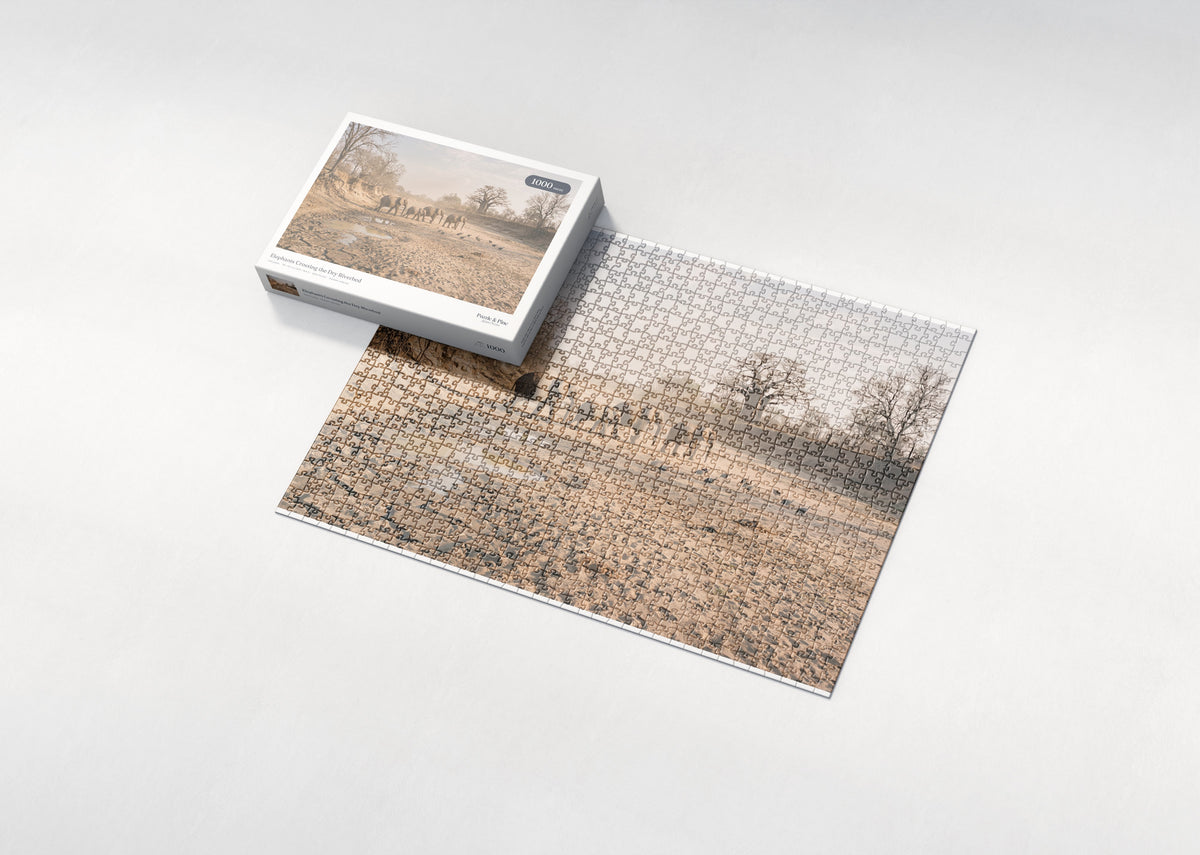 Elephants Crossing the Dry Riverbed jigsaw puzzle - box and puzzle