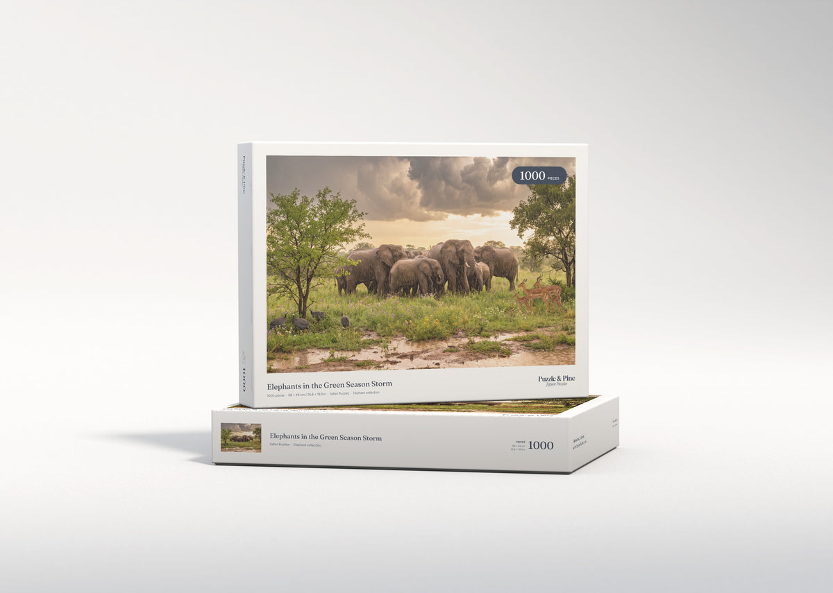 Elephants in the Green Season Storm jigsaw puzzle - gift box