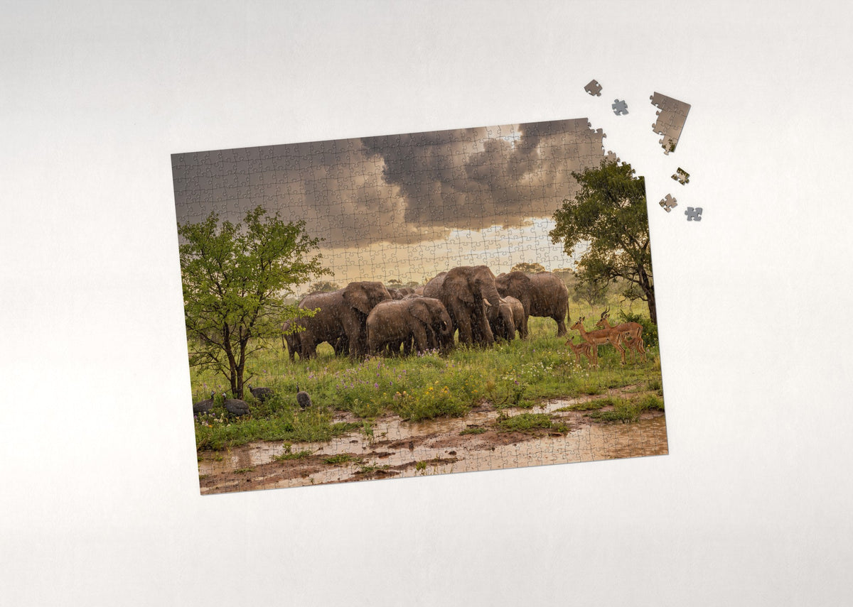 Elephants in the Green Season Storm jigsaw puzzle - puzzle with loose pieces