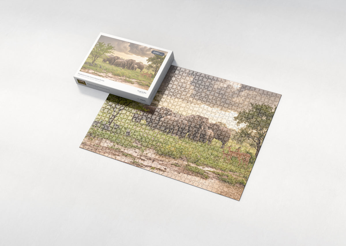 Elephants in the Green Season Storm jigsaw puzzle - box and puzzle