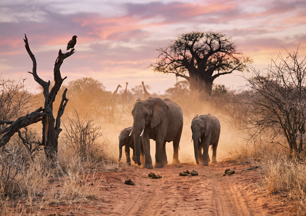 Elephants Walking the Dusty Trail at Dusk jigsaw puzzle