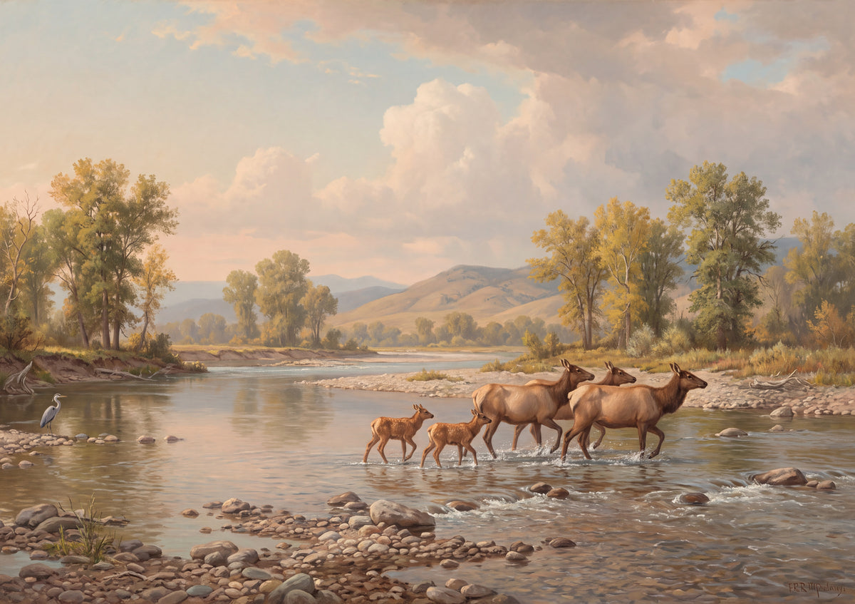 Elk Crossing the River jigsaw puzzle