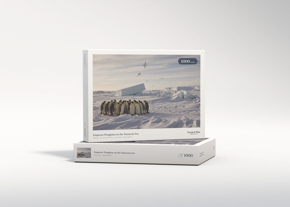 Emperor Penguins on the Antarctic Ice jigsaw puzzle - gift box