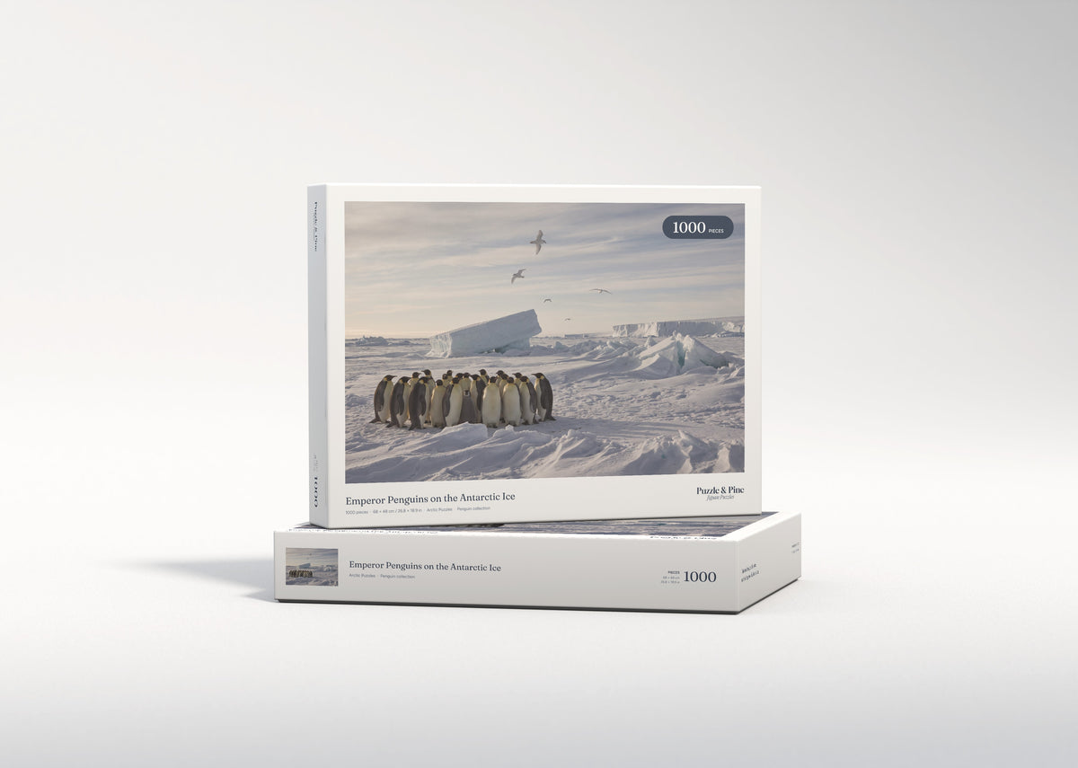 Emperor Penguins on the Antarctic Ice jigsaw puzzle - gift box