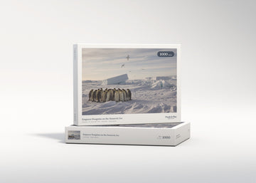 Emperor Penguins on the Antarctic Ice jigsaw puzzle - gift box