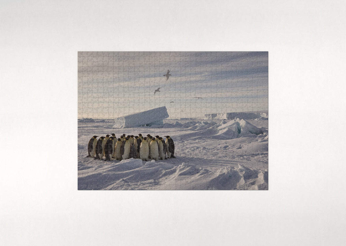 Emperor Penguins on the Antarctic Ice jigsaw puzzle - flat puzzle