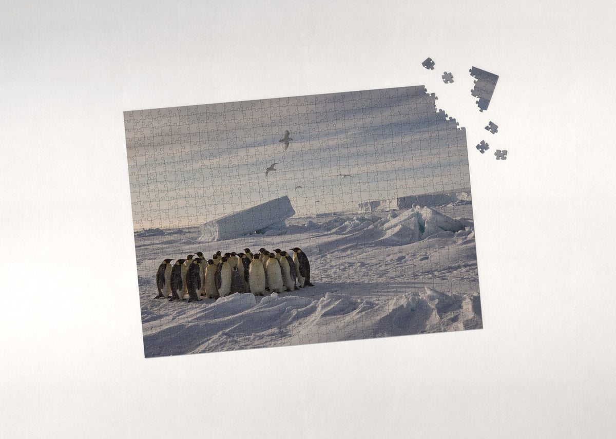 Emperor Penguins on the Antarctic Ice jigsaw puzzle - puzzle with loose pieces